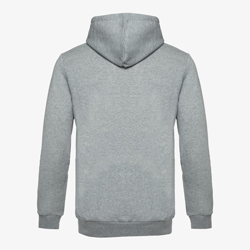 Essentials Big Logo heren hoodie grijs
