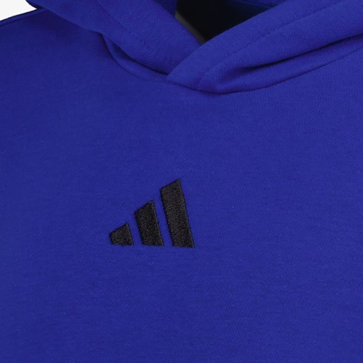 J SL FL kinder hoodie blauw