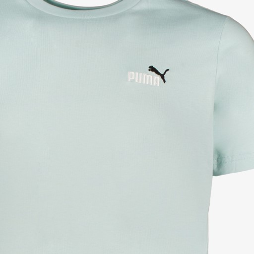 Ess 2 Color No. 1 Logo heren T-shirt groen