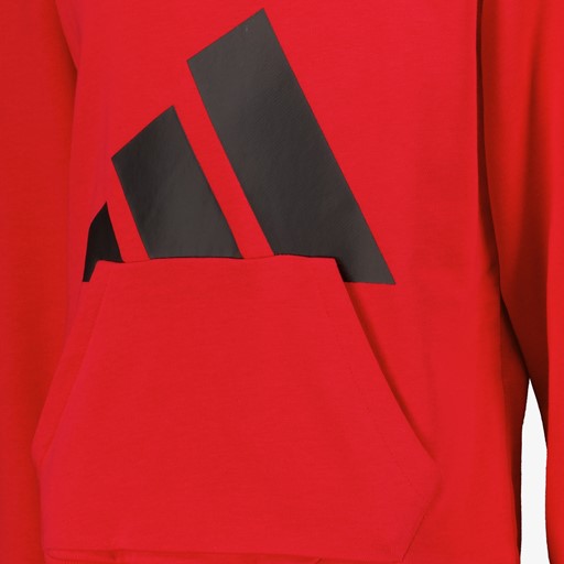 J SL FL kinder hoodie rood