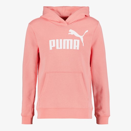 ESS 2 Col Big Logo FL kinder hoodie roze