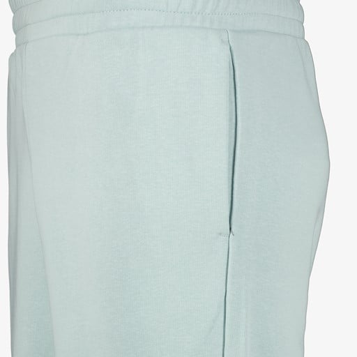Ess 2 Color No. 1 heren sweatshort lichtgroen