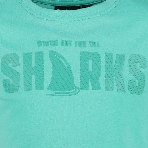 Jongens T-shirt met opdruk groen