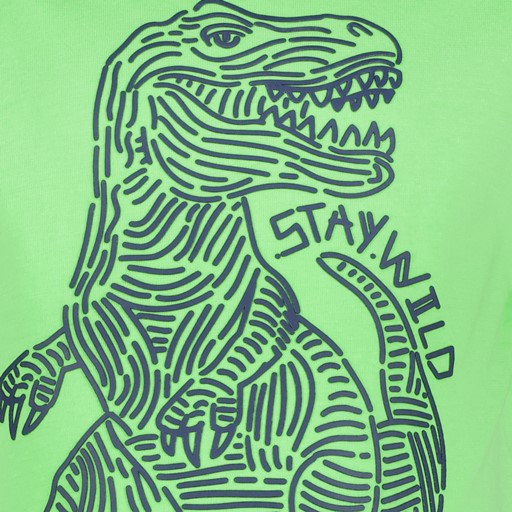Jongens T-shirt met T-rex groen