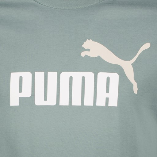 Essentials 2 heren sport T-shirt groen