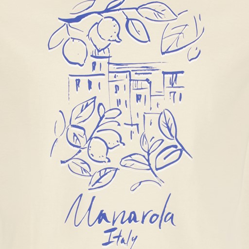 Heren T-shirt met opdruk beige