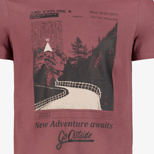 Heren T-shirt met opdruk bruin