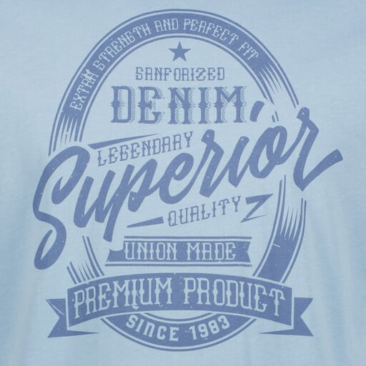 Heren T-shirt met tekstopdruk blauw