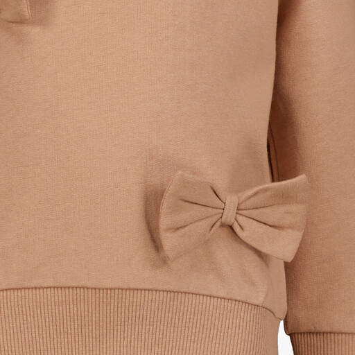 Meisjes sweaters met strikjes bruin