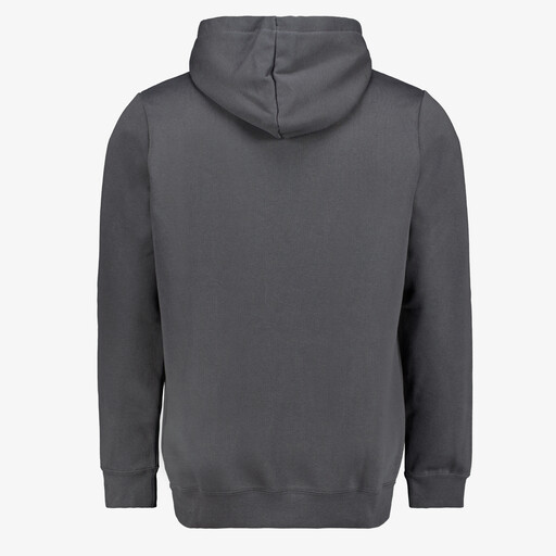 Essentials Small No. 1 Logo heren hoodie grijs