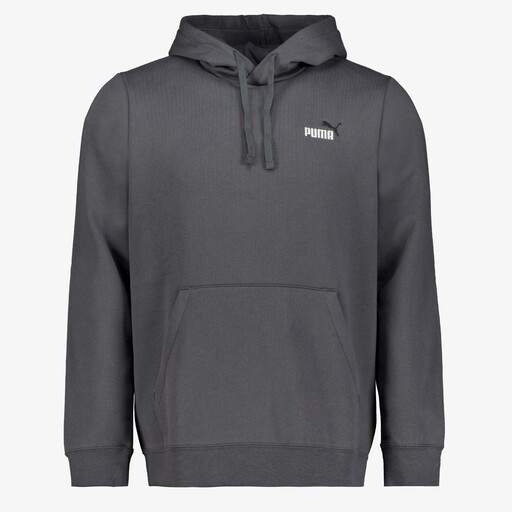 Essentials Small No. 1 Logo heren hoodie grijs