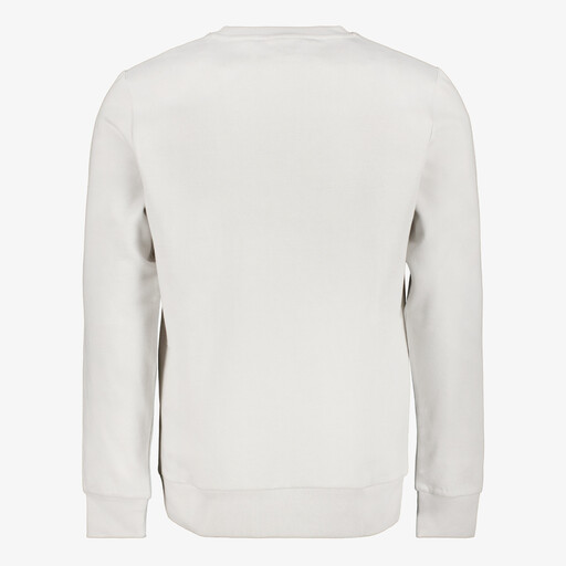 Heren sweater grijs