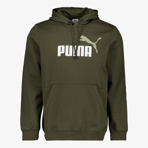 Essentials 2 Color No. 1 Logo hoodie donkergroen