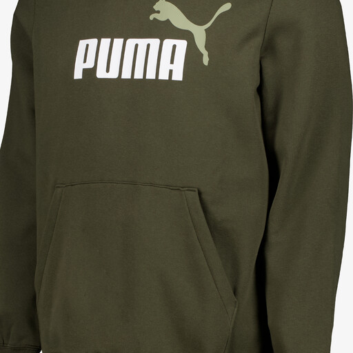 Essentials 2 Color No. 1 Logo hoodie donkergroen