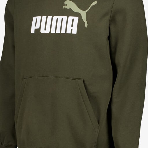 Essentials 2 Color No. 1 Logo hoodie donkergroen