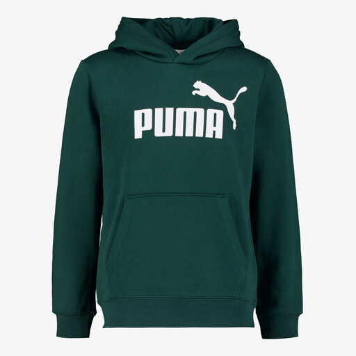 Essentials No. 1 Logo kinder hoodie groen