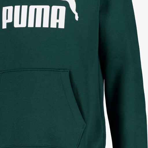 Essentials No. 1 Logo kinder hoodie groen