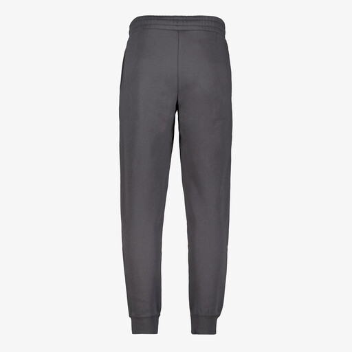 ESS 2 Color NO. 1 Logo FL CL heren joggingbroek grijs