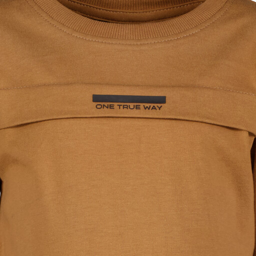 Jongens shirt met backprint bruin