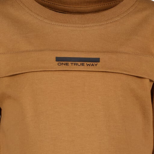 Jongens shirt met backprint bruin