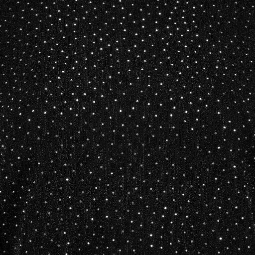 Dames party shirt met strasstenen zwart