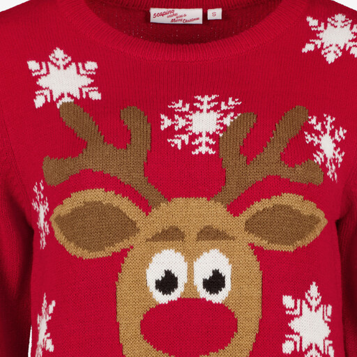 Foute kersttrui dames met rendier