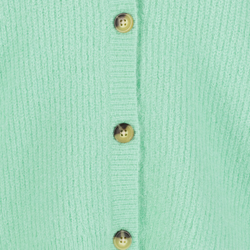 Dames vest groen