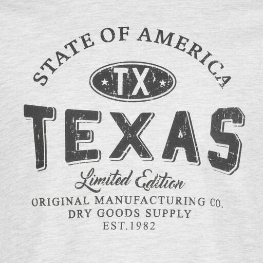 Heren T-shirt met opdruk wit