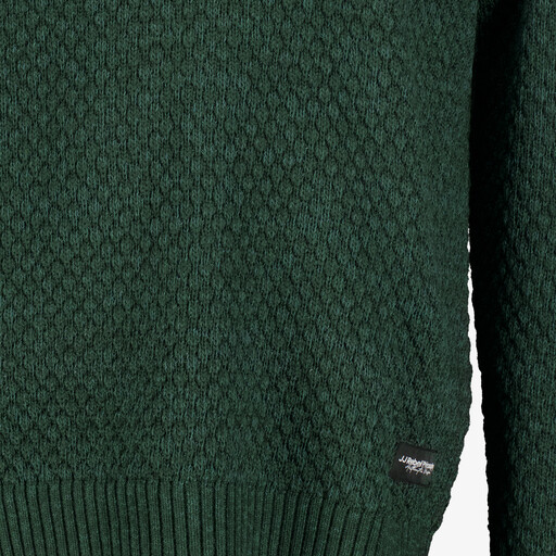 Heren trui groen