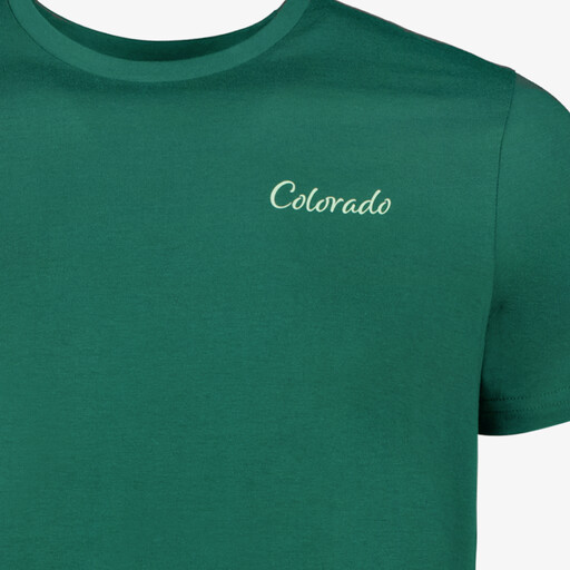 Heren T-shirt met backprint groen