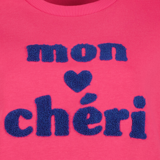 Dames sweater met blauwe tekstopdruk roze