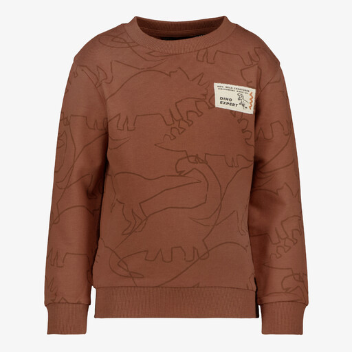 Jongens sweater met dino bruin