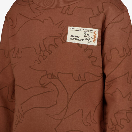 Jongens sweater met dino bruin
