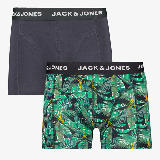 Heren boxershorts met blaadjesprint 2-pack