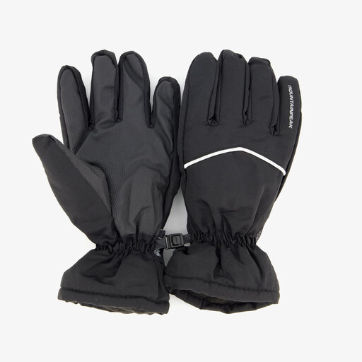 Heren skihandschoenen zwart
