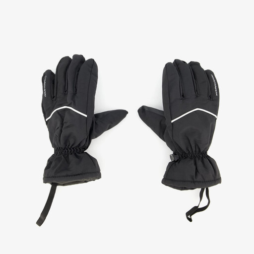 Heren skihandschoenen zwart