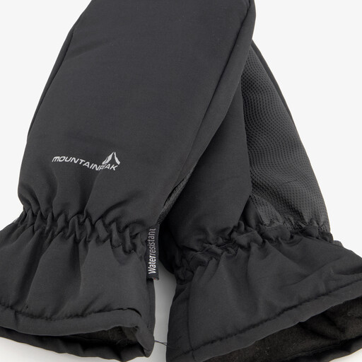 Heren skiwanten zwart