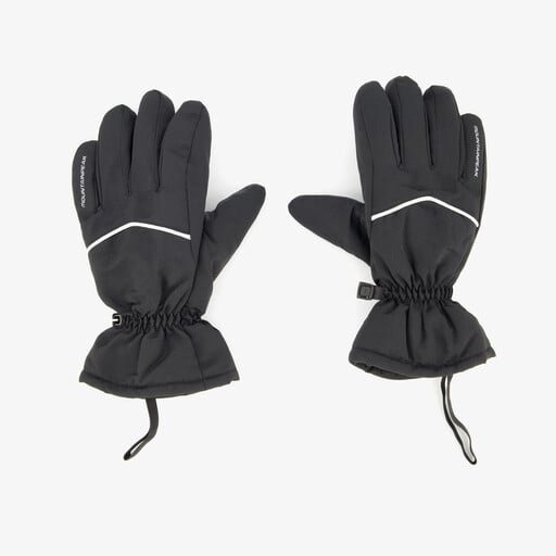 Dames skihandschoenen zwart