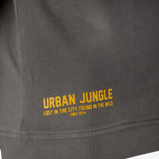 Airplane jongens trui grijs