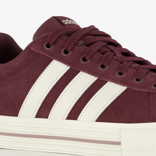 Daily 4.0 heren sneakers bordeaux rood