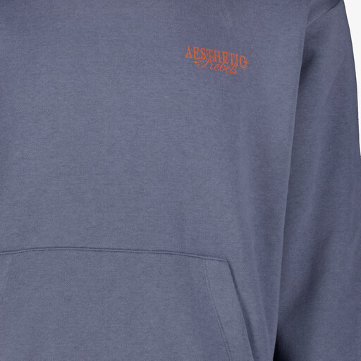 Heren hoodie blauw