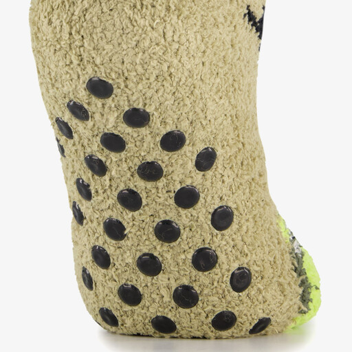 1 paar kinder huissokken dino met antislip