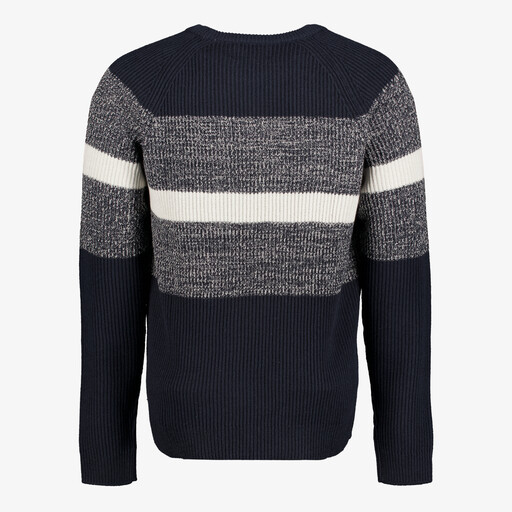 Heren trui blauw