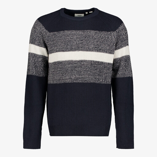 Heren trui blauw