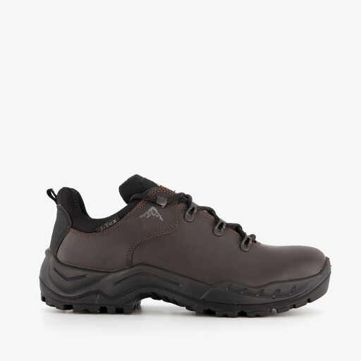 Heren wandelschoenen categorie A/B