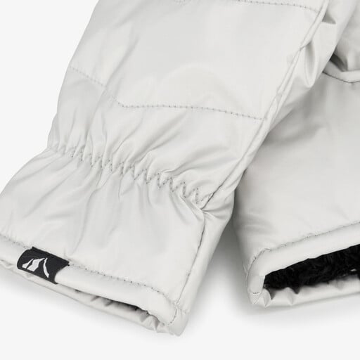 Dames skiwanten zilver