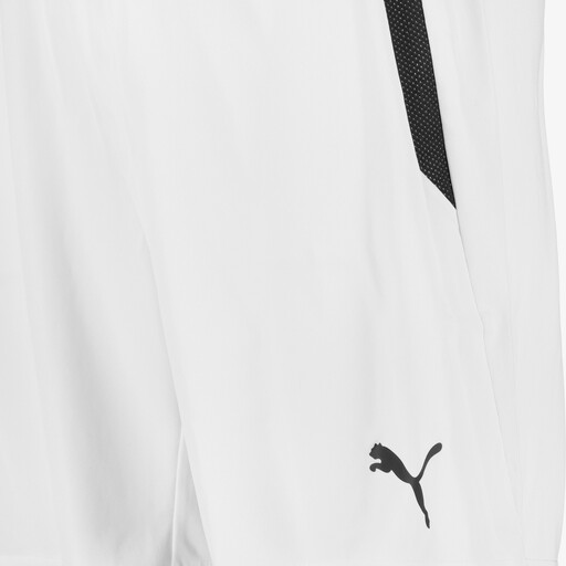 TeamLIGA heren voetbalshort wit zwart