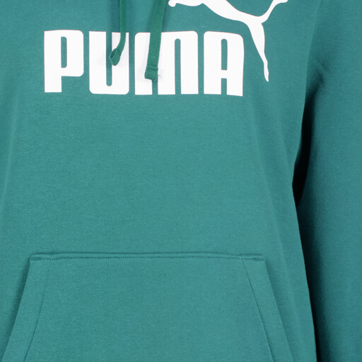ESS No. 1 Logo 2 heren hoodie groen