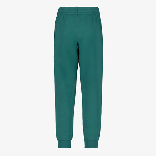 Essentials 2 Color No. 1 Logo kinder joggingbroek groen