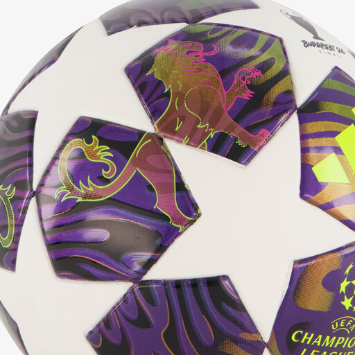 UCL mini voetbal wit paars